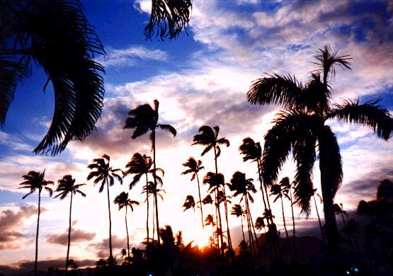 hawaii1.jpg